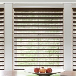 Motorized Sheer Shades