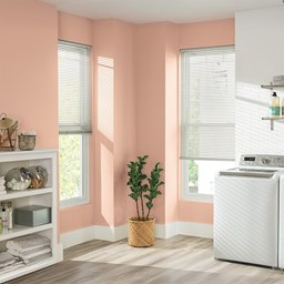 Premium 1 Inch Vinyl Mini Blinds