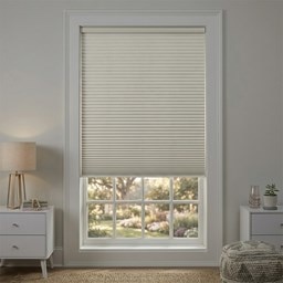 Motorized Blackout Cellular Shades