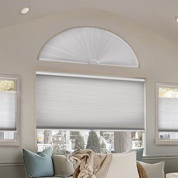 Light Filtering Cellular Arches