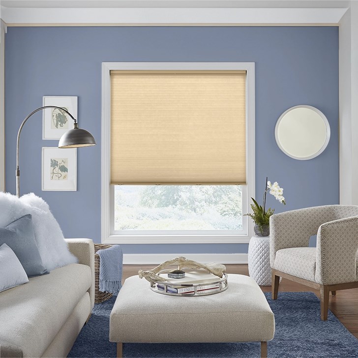 Color: Classic Novel