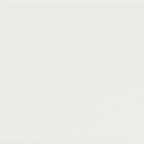 Warm White 12502908