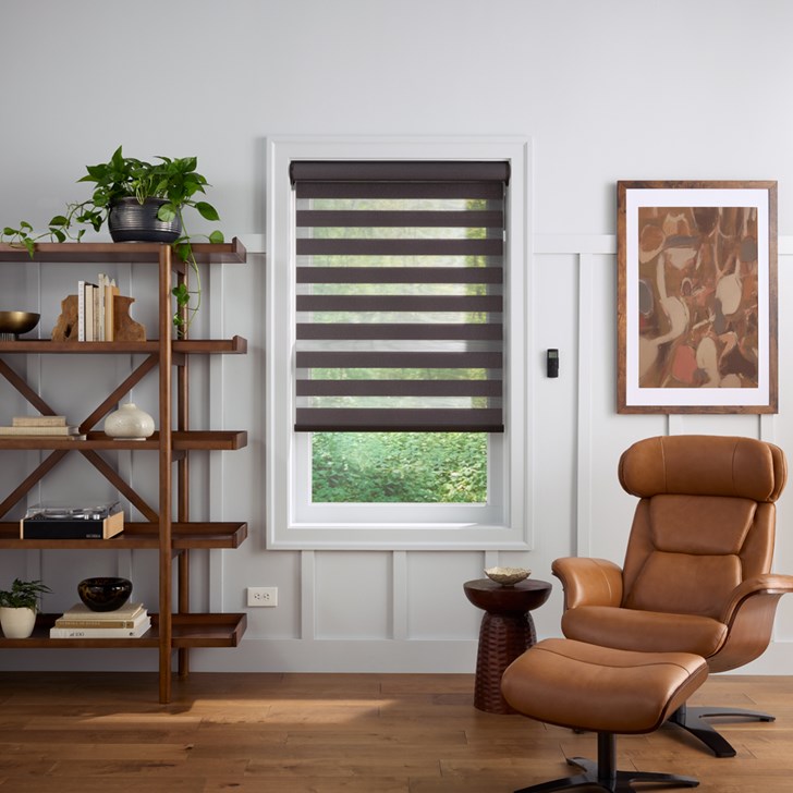 Color: Dazzle Platinum QV52; Lift: Motorized; Valance: Fabric Insert Cassette
